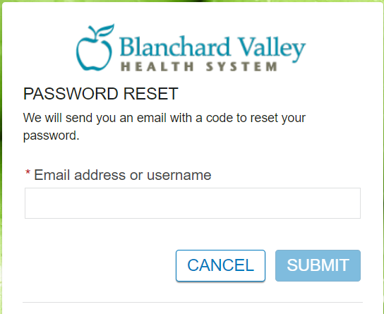 BVHS Patient Portal login password.