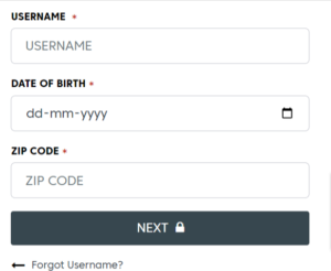 forgotten your Lourdes Patient Portal login password